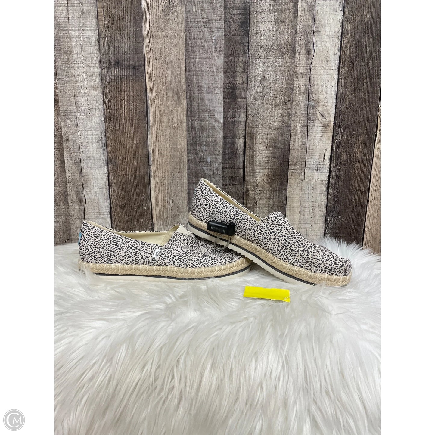 Shoes Flats By Toms In Animal Print, Size: 10