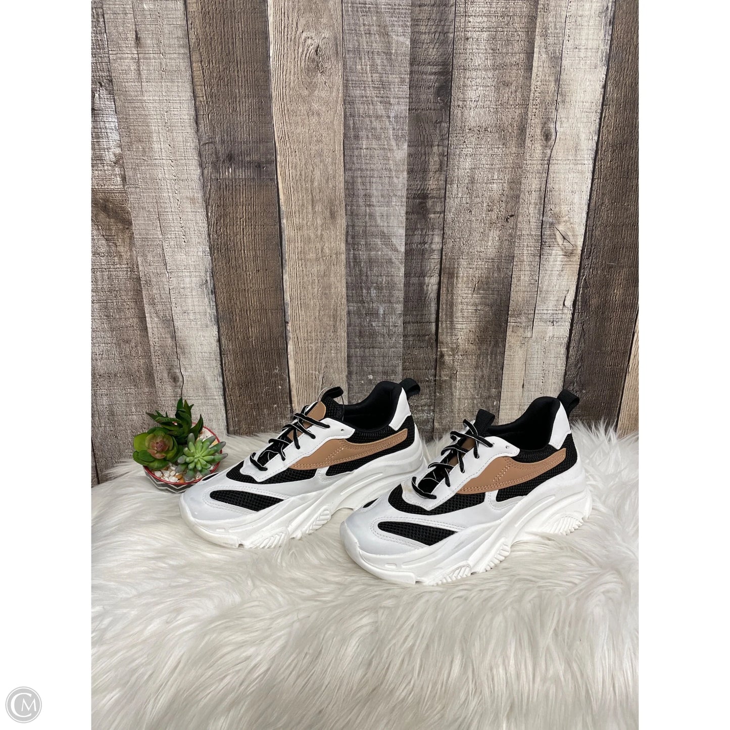 Shoes Sneakers Platform By Steve Madden In Black & White, Size: 8