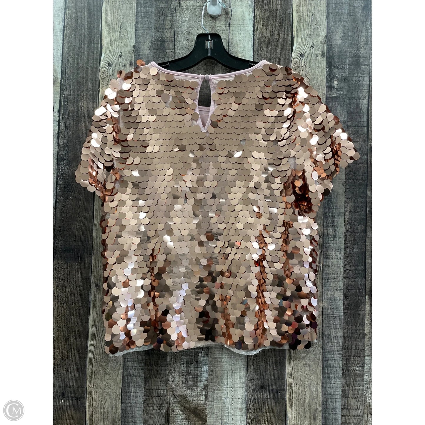 Top 2pc 3/4 Sleeve By Eva Franco In Copper, Size: Xs