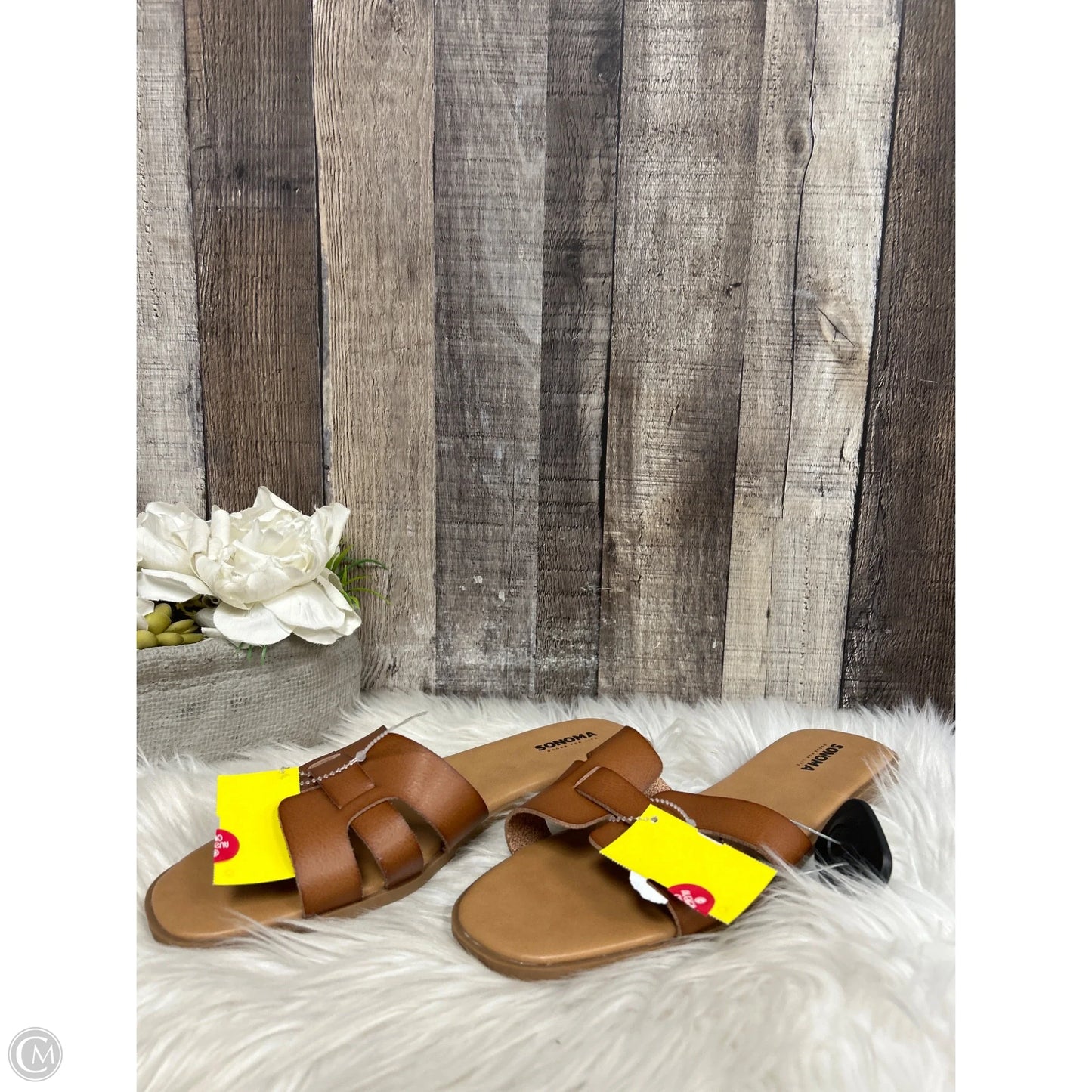 Sandals Flats By Sonoma In Brown, Size: 10