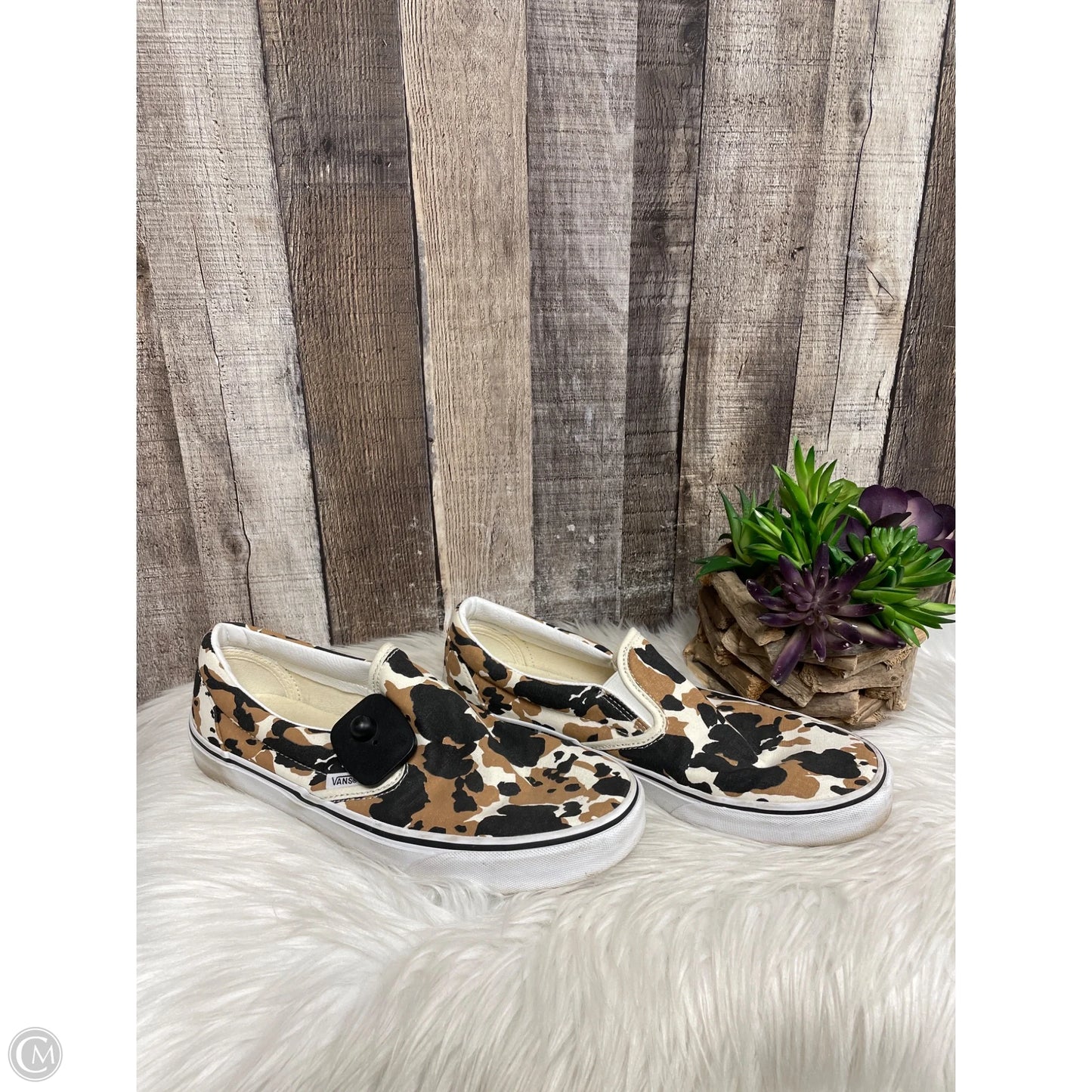 Shoes Athletic By Vans In Animal Print, Size: 11