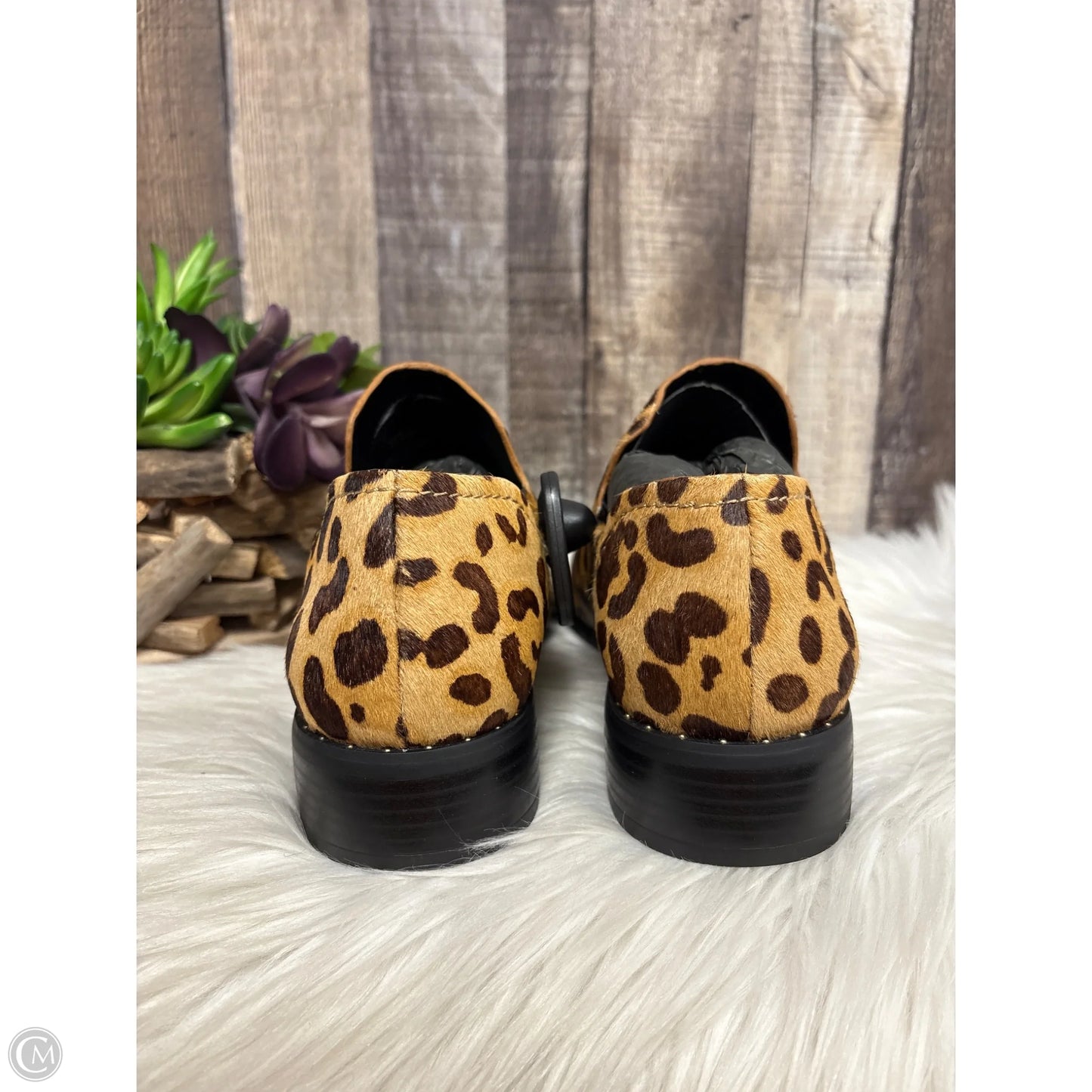 Shoes Heels Block By Steve Madden In Animal Print, Size: 8