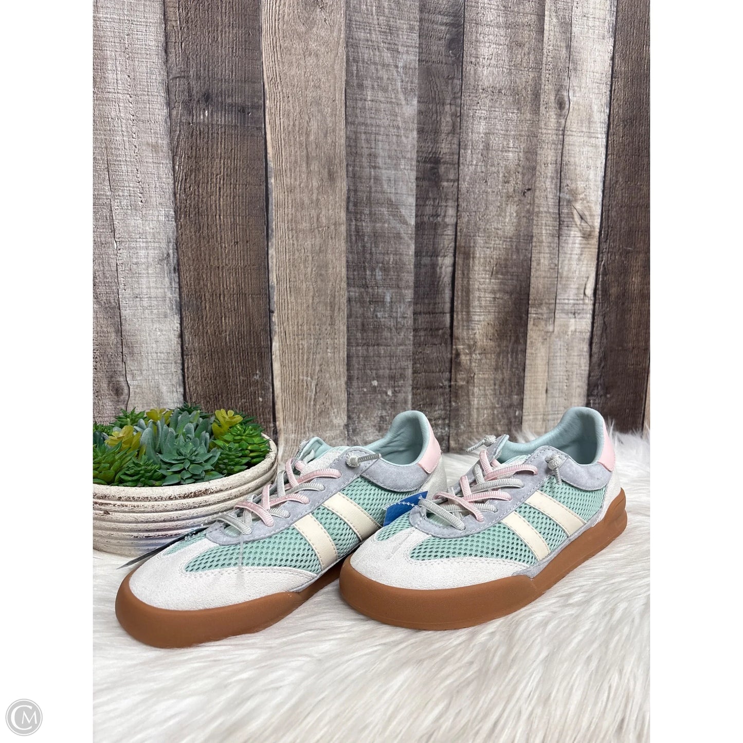 Shoes Sneakers By Steve Madden In Multi-colored, Size: 7.5