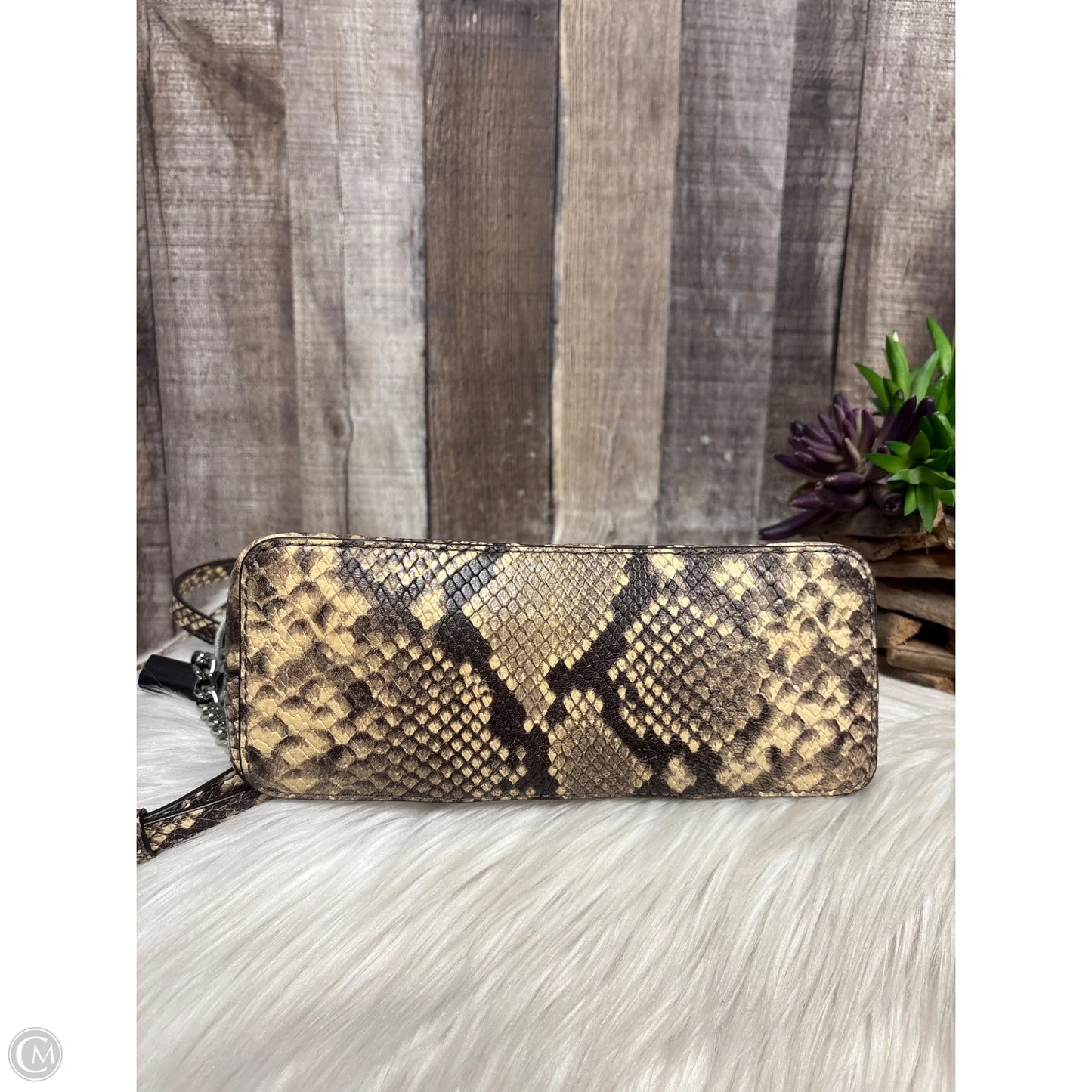 Crossbody By Michael By Michael Kors, Size: Small