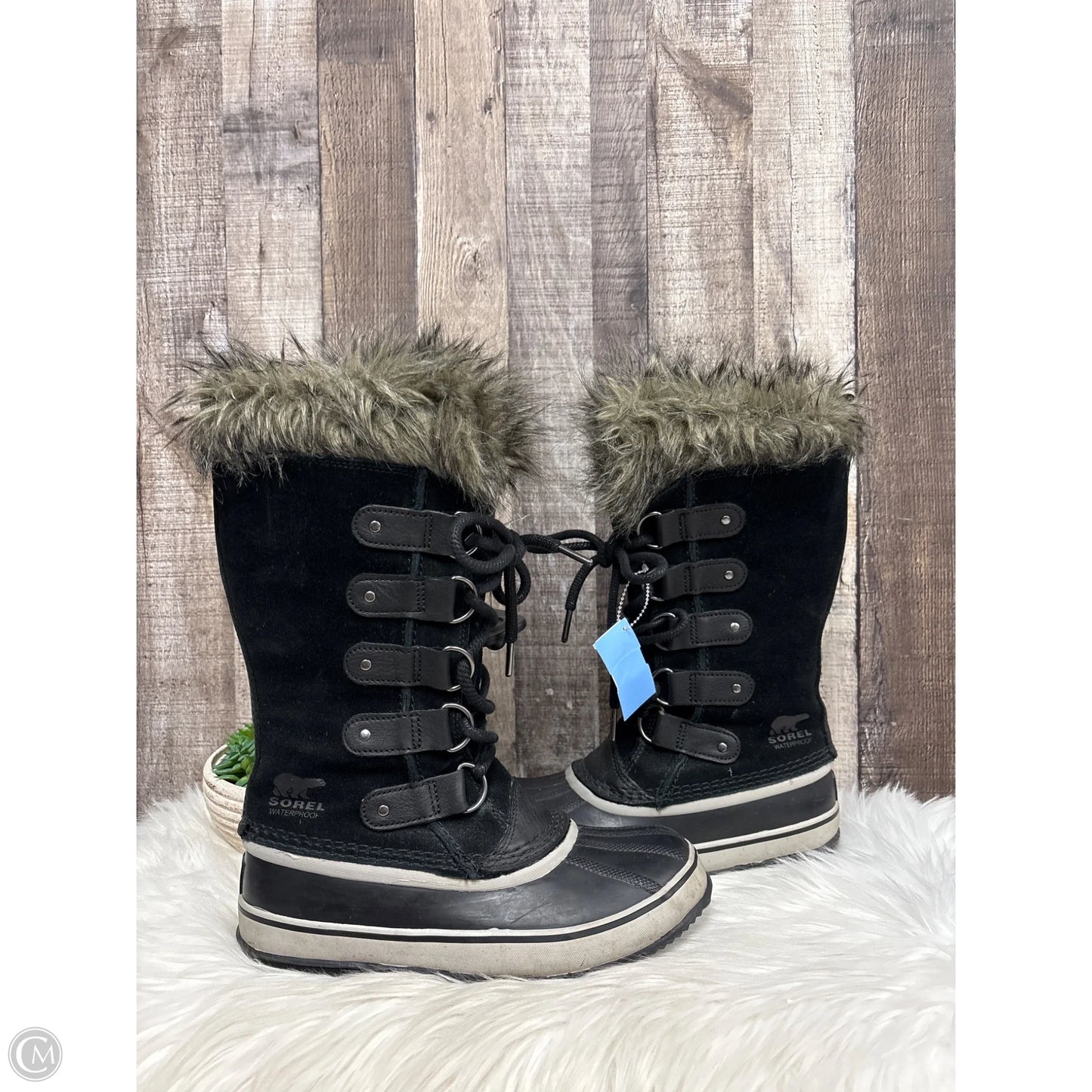 Boots Mid-calf Flats By Sorel In Black, Size: 6.5