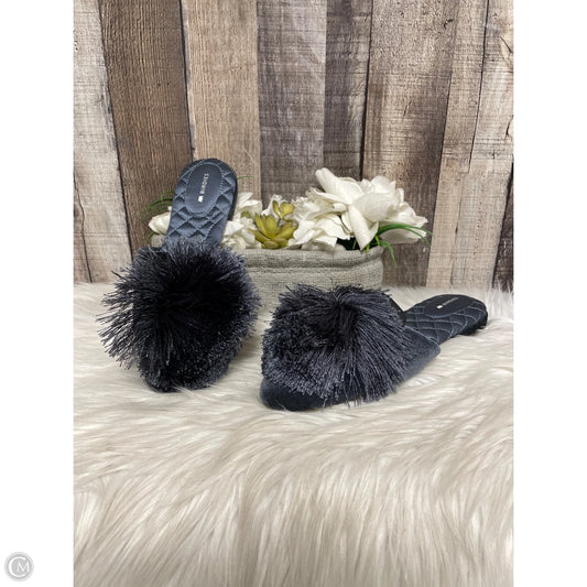 Shoes Flats By Birdies In Blue, Size: 7.5