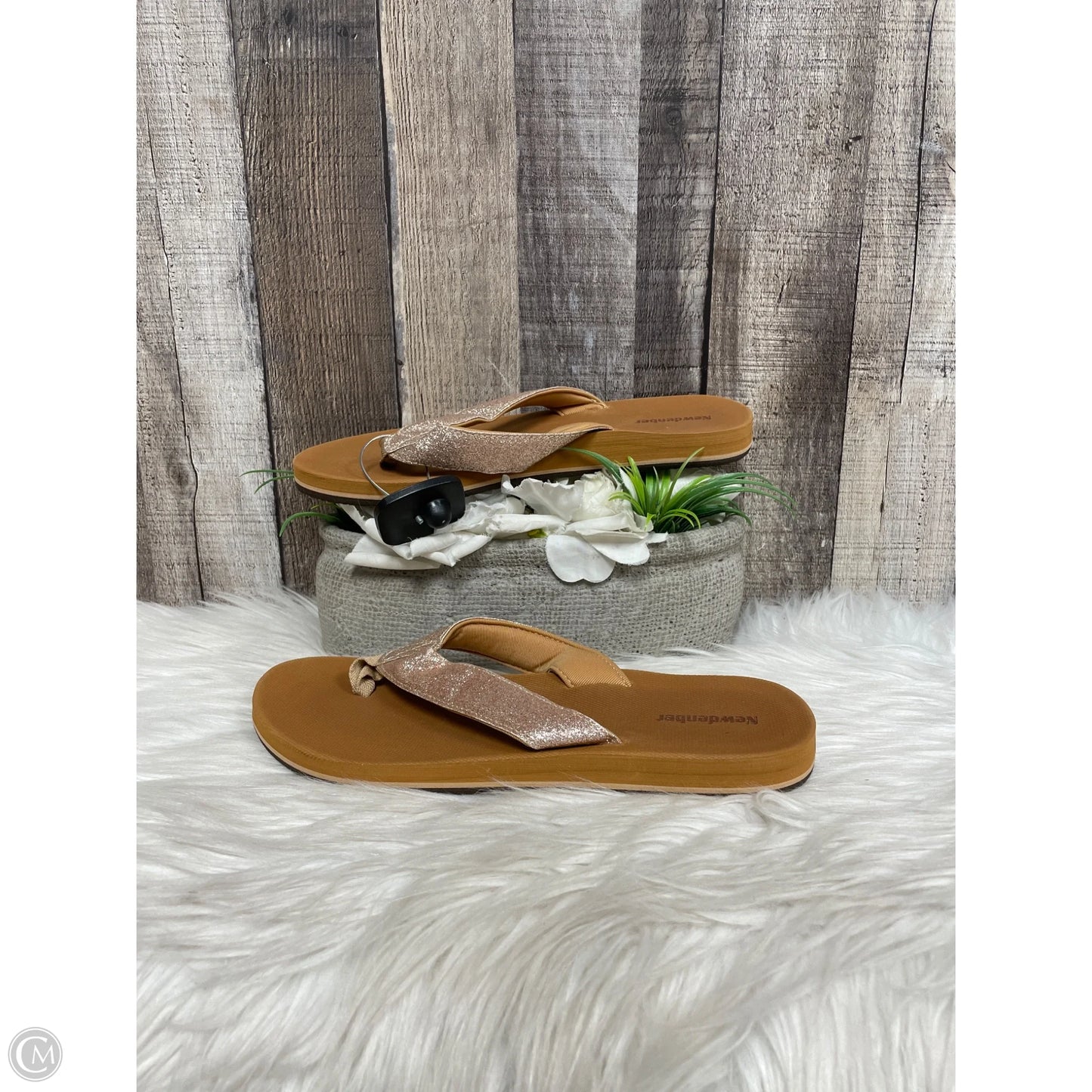 Sandals Flats By Cme In Brown, Size: 9.5