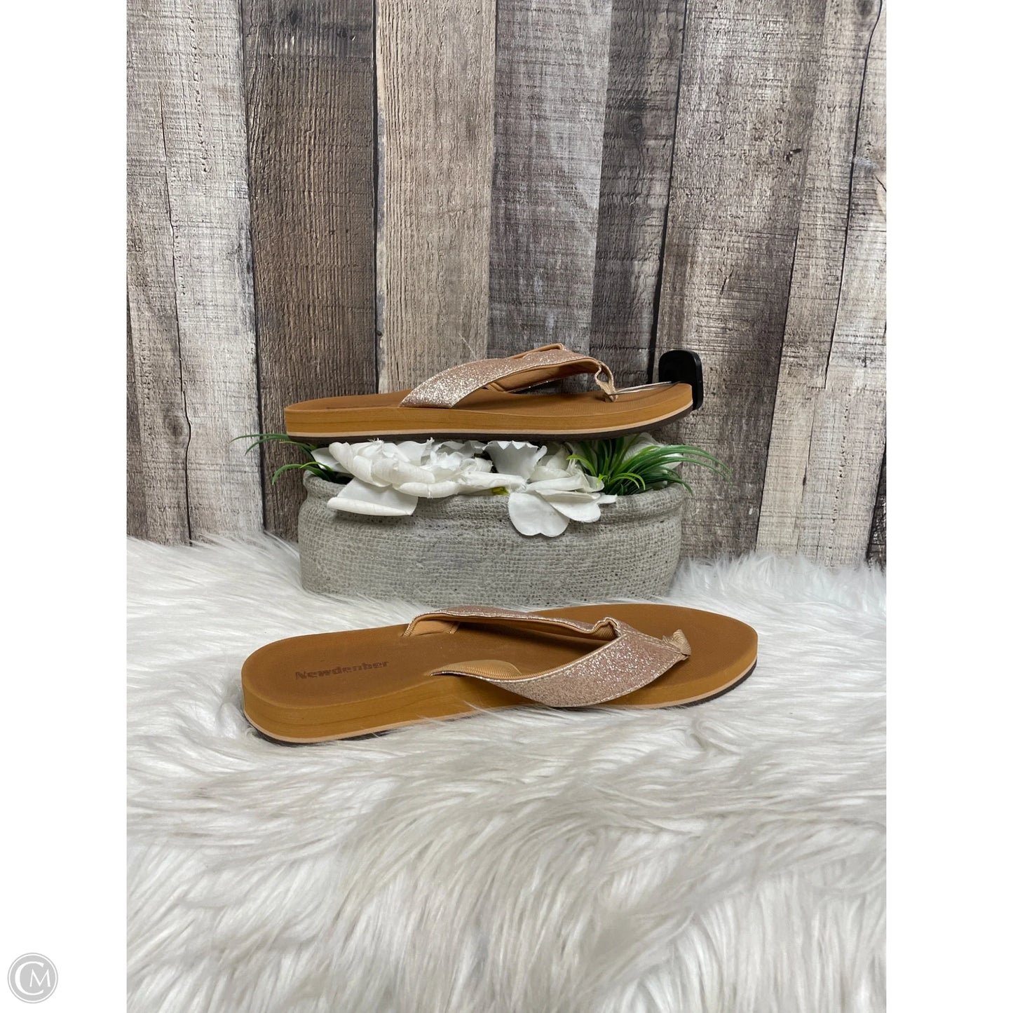 Sandals Flats By Cme In Brown, Size: 9.5