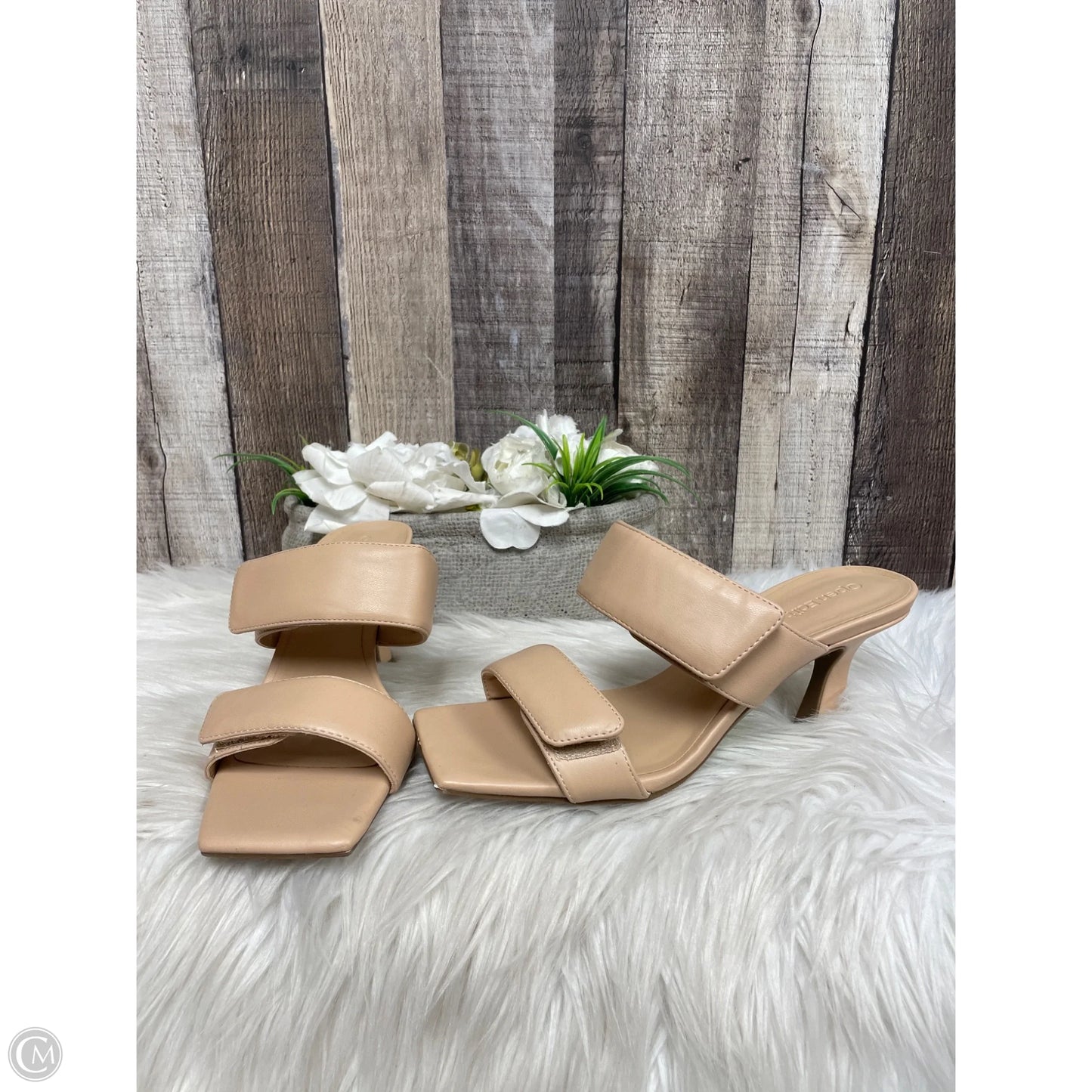 Shoes Heels Kitten By Open Edit In Tan, Size: 7