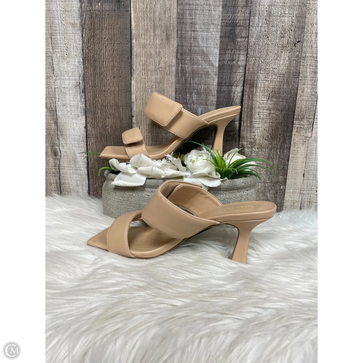 Shoes Heels Kitten By Open Edit In Tan, Size: 7