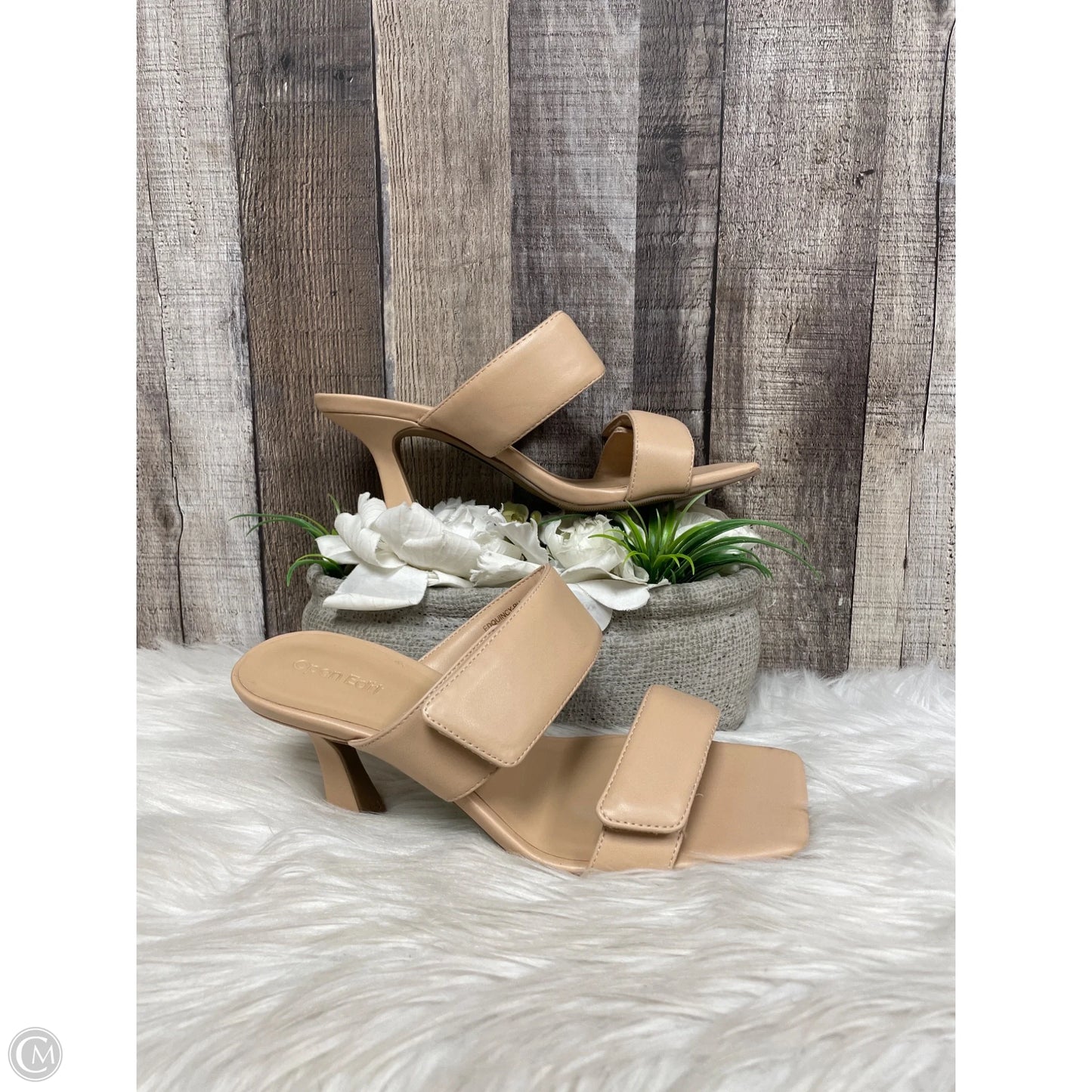 Shoes Heels Kitten By Open Edit In Tan, Size: 7