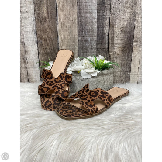 Sandals Flats By A New Day In Animal Print, Size: 7