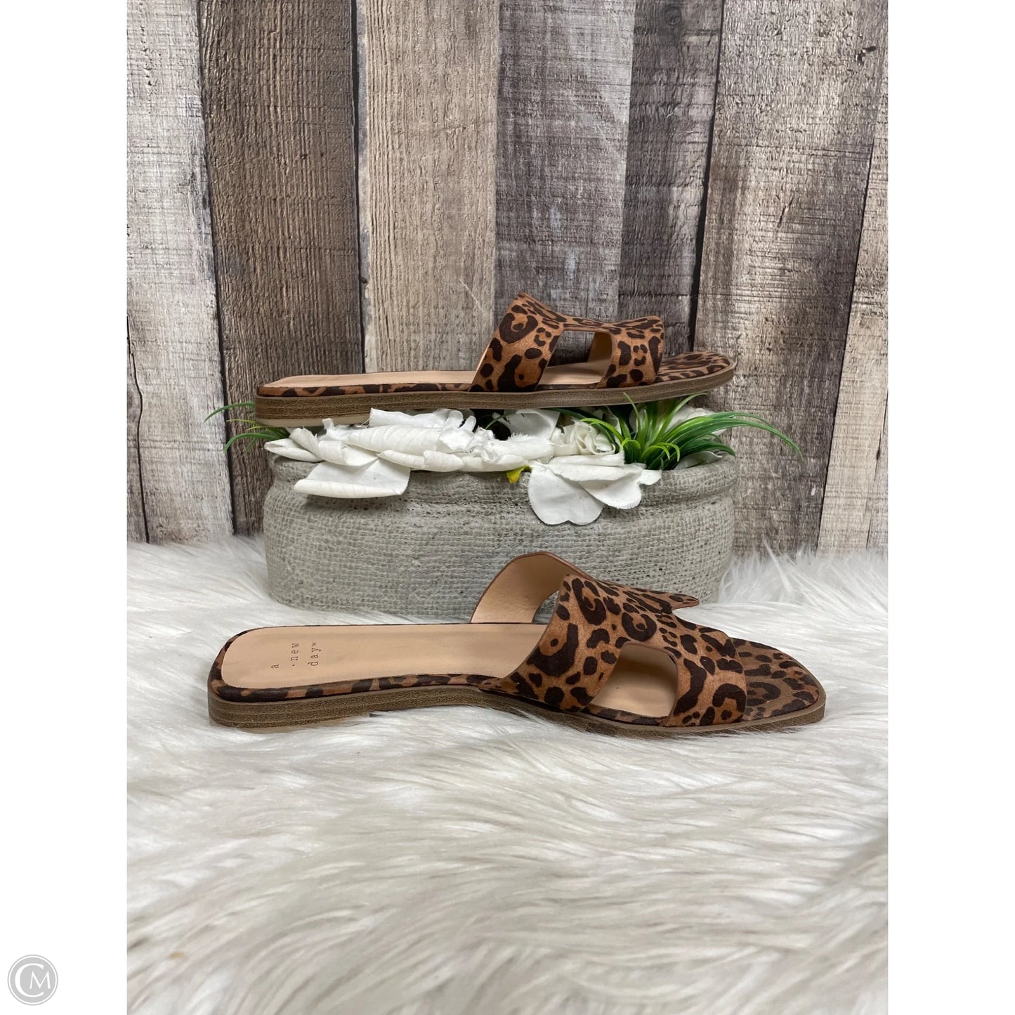 Sandals Flats By A New Day In Animal Print, Size: 7