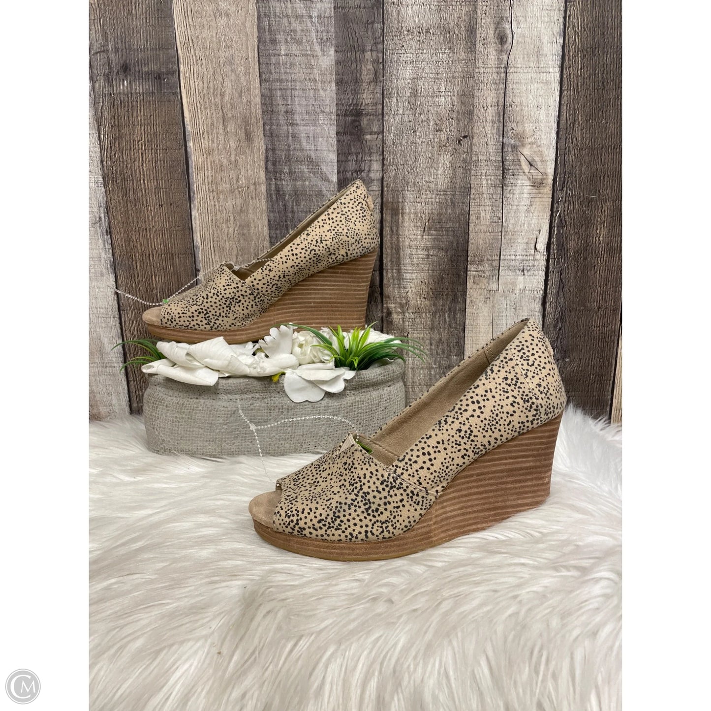 Shoes Heels Wedge By Toms In Animal Print, Size: 7
