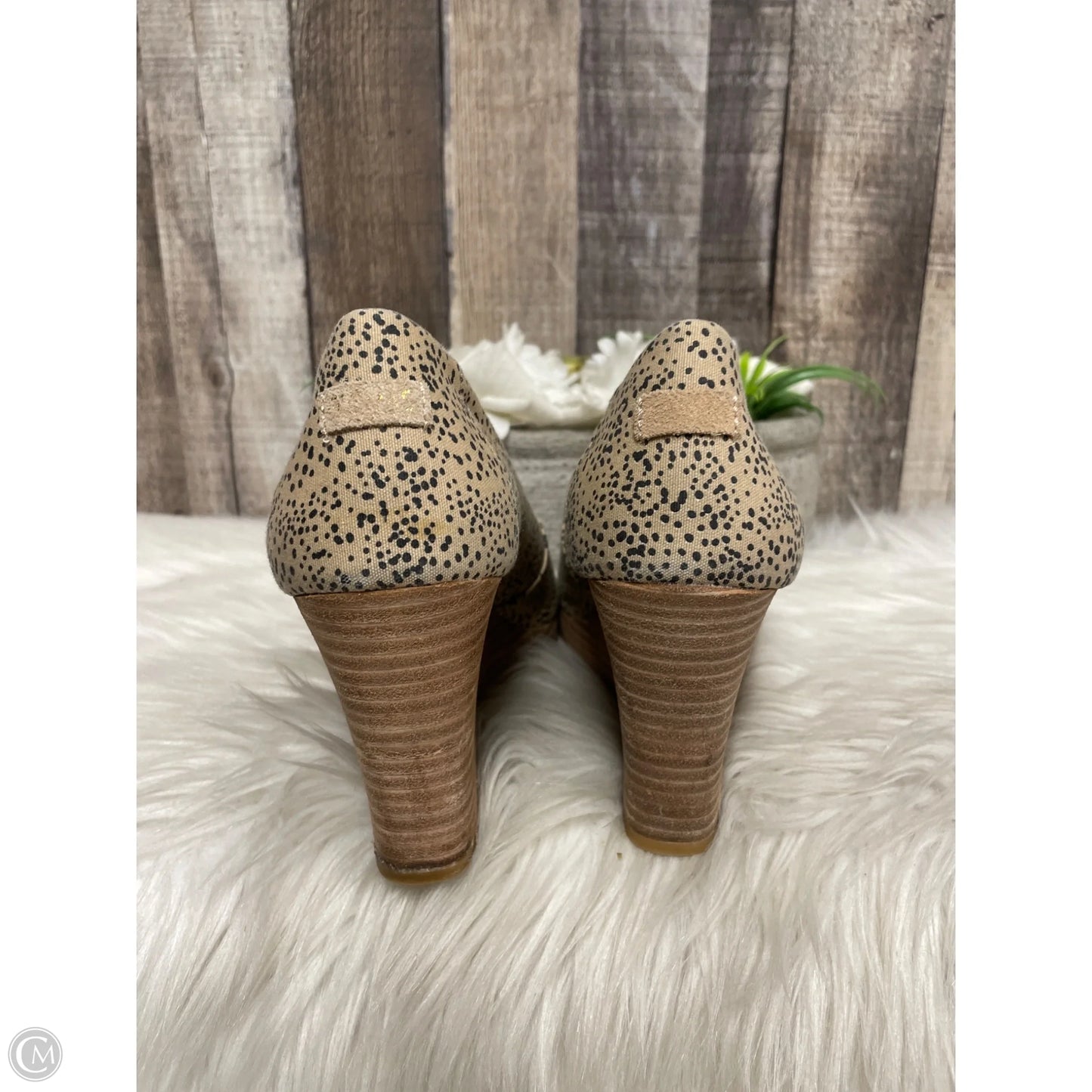 Shoes Heels Wedge By Toms In Animal Print, Size: 7