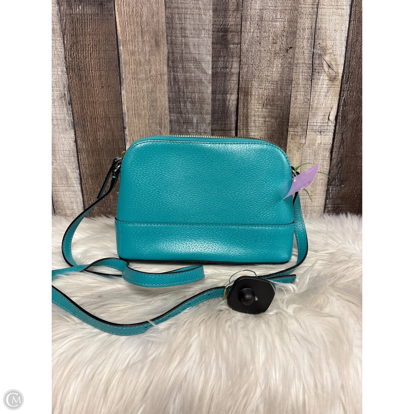 Crossbody Designer By Kate Spade, Size: Medium