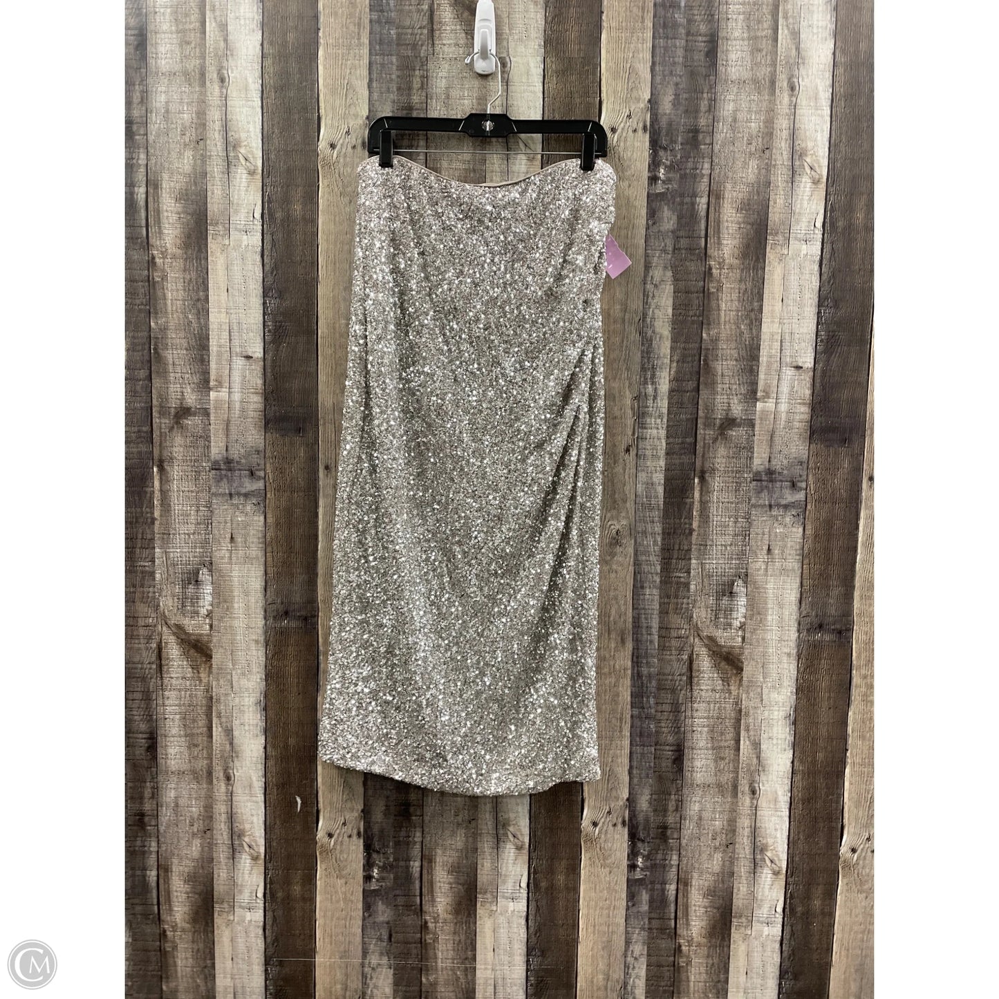 Skirt Maxi By Express In Silver, Size: Xl