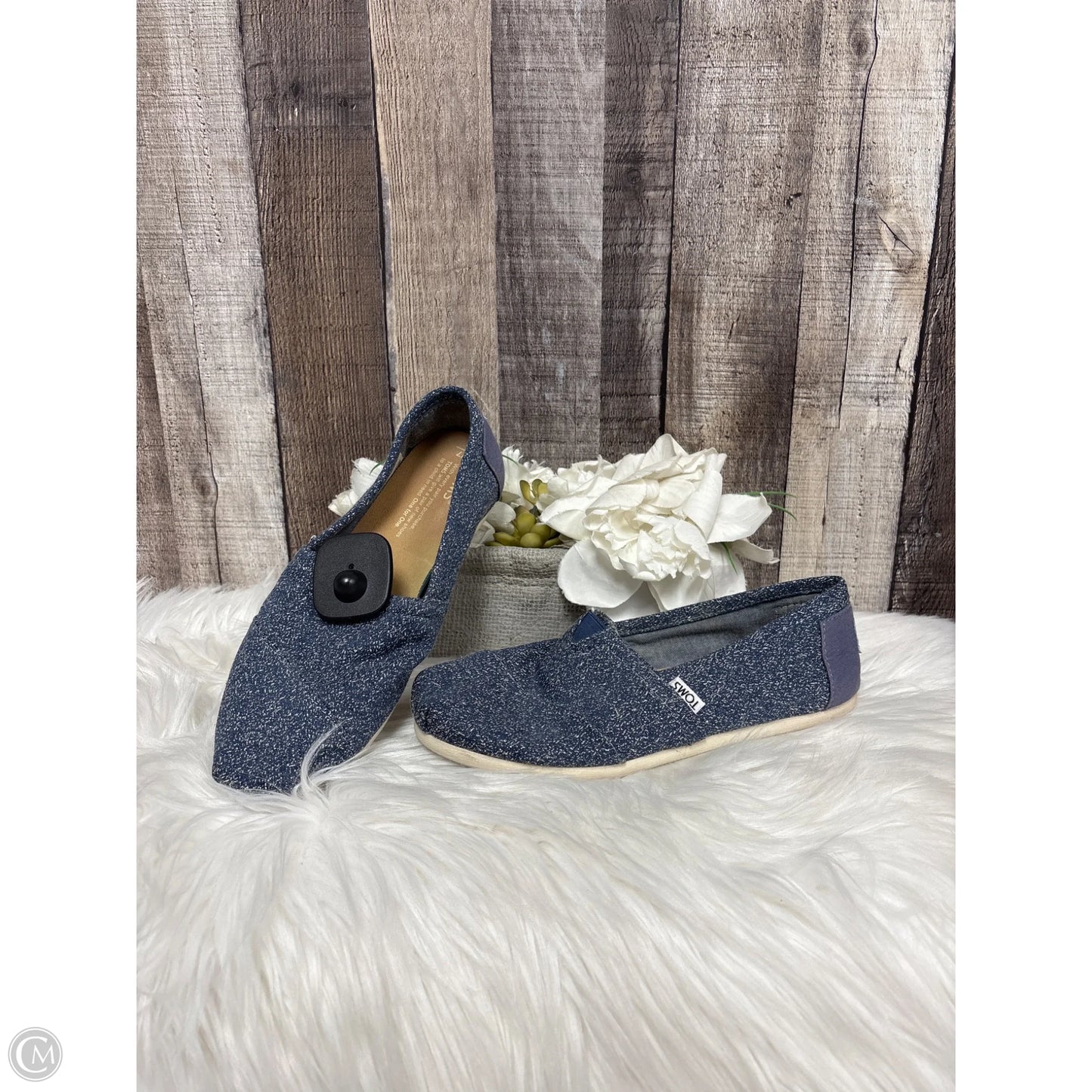 Shoes Flats By Toms In Blue, Size: 7