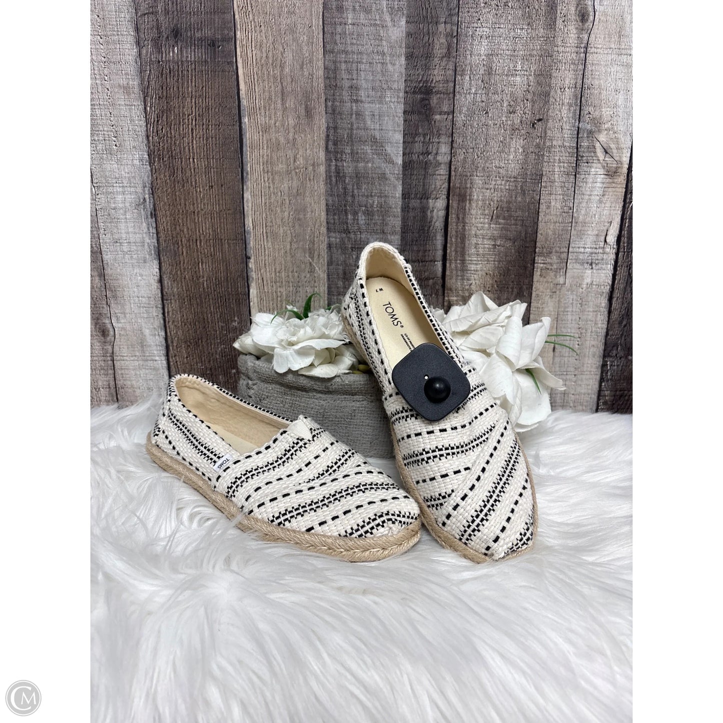 Shoes Flats By Toms In Black & Cream, Size: 7