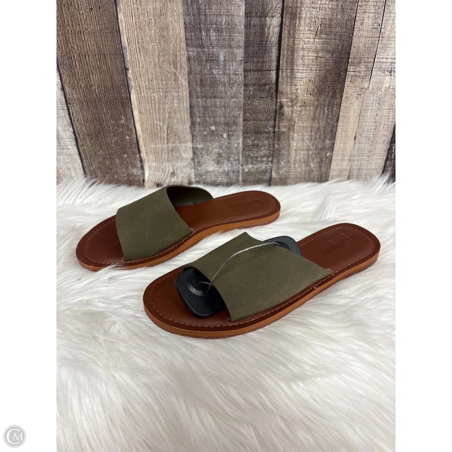 Sandals Flats By Cushionaire In Green, Size: 8