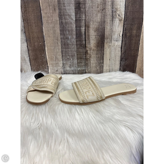 Sandals Flats By A New Day In Ivory, Size: 8