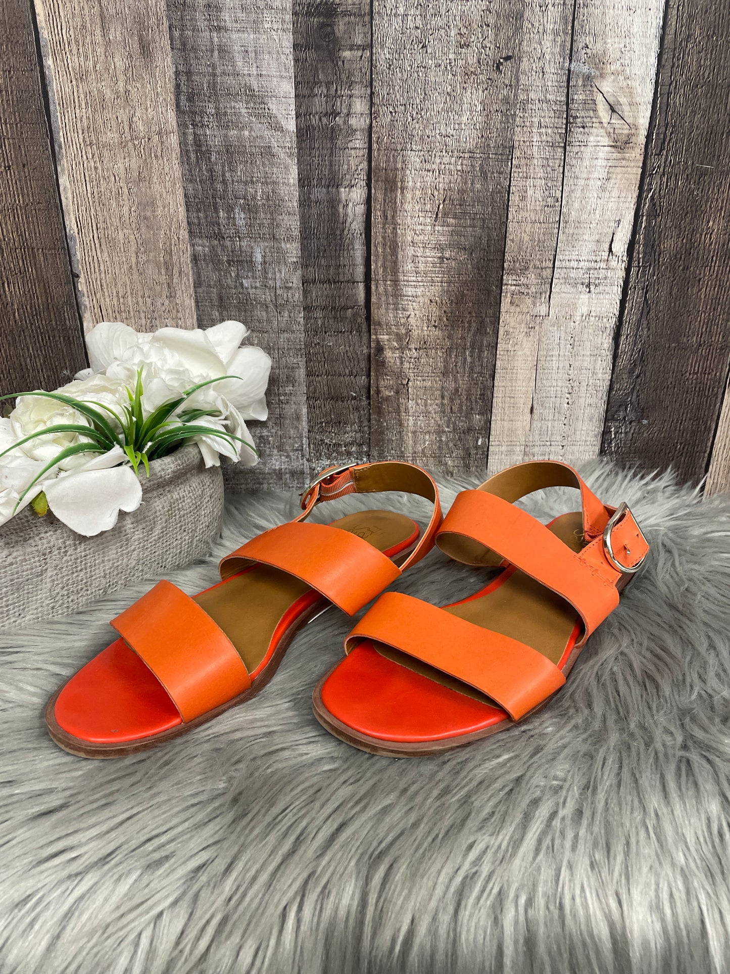 Sandals Flats By Franco Sarto In Orange, Size: 7.5