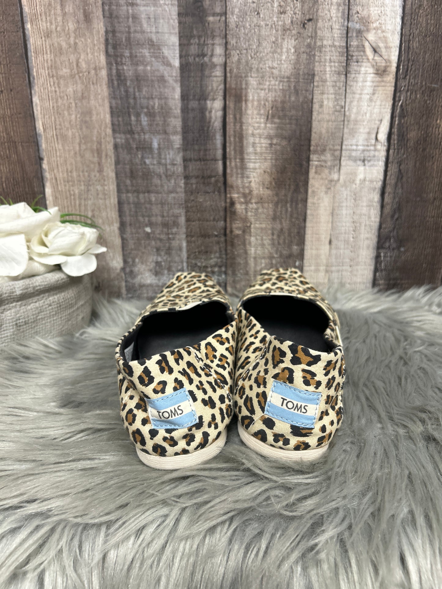 Animal Print Shoes Flats Toms, Size 8