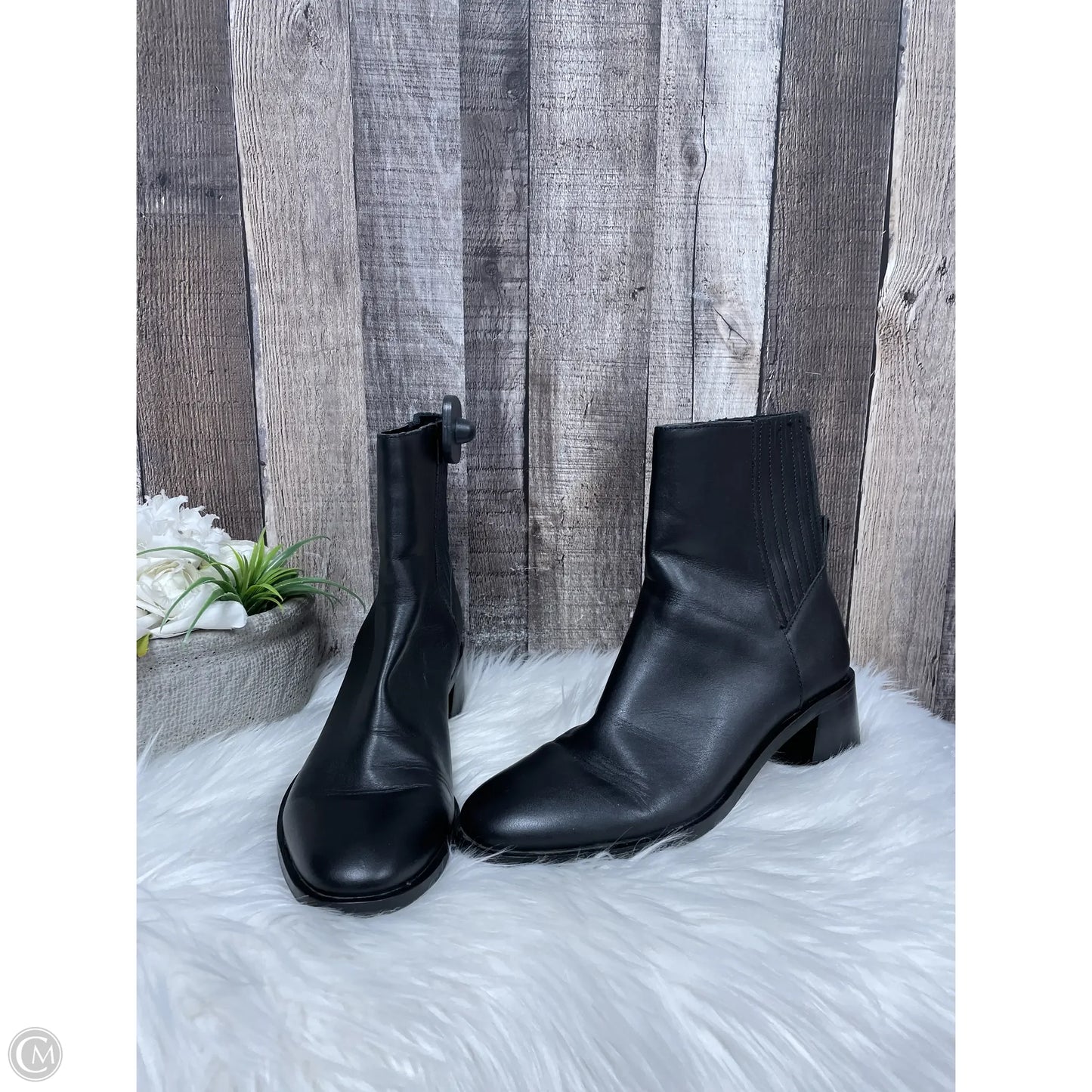 Boots Ankle Heels By Dolce Vita In Black, Size: 8.5