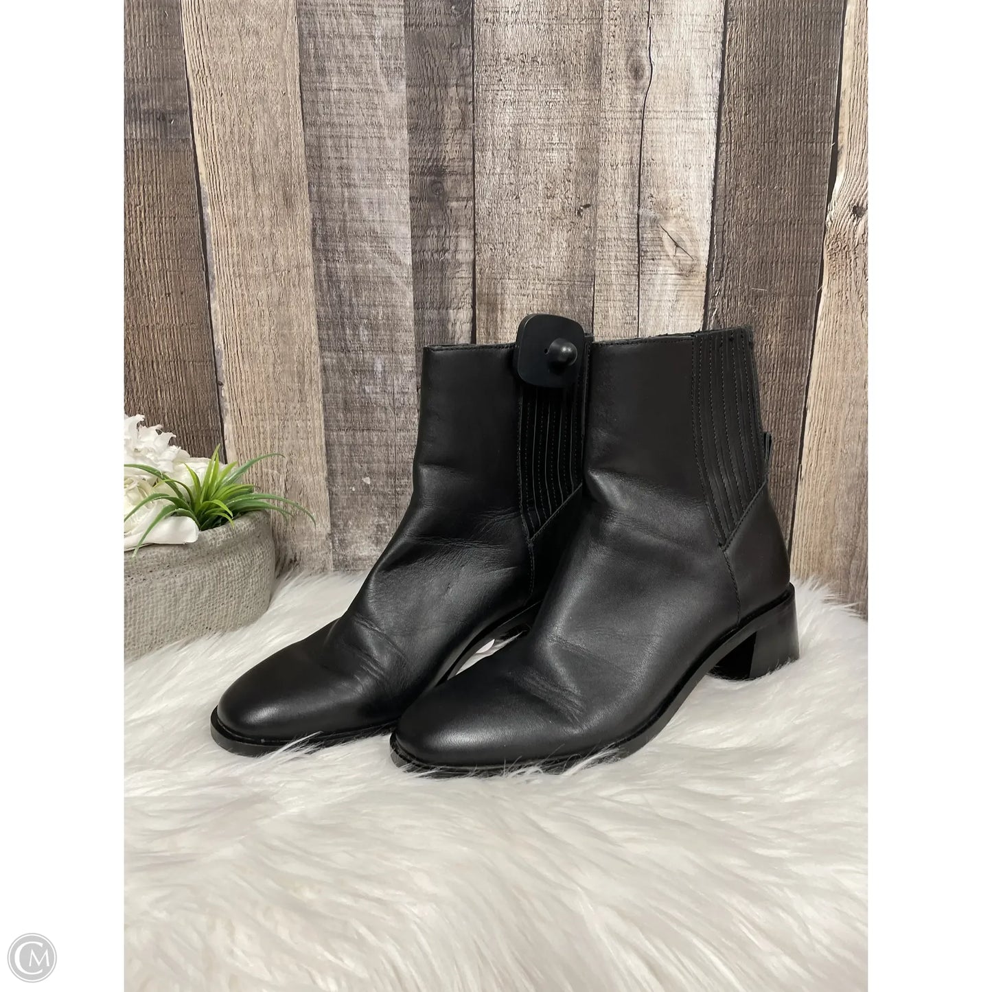 Boots Ankle Heels By Dolce Vita In Black, Size: 8.5