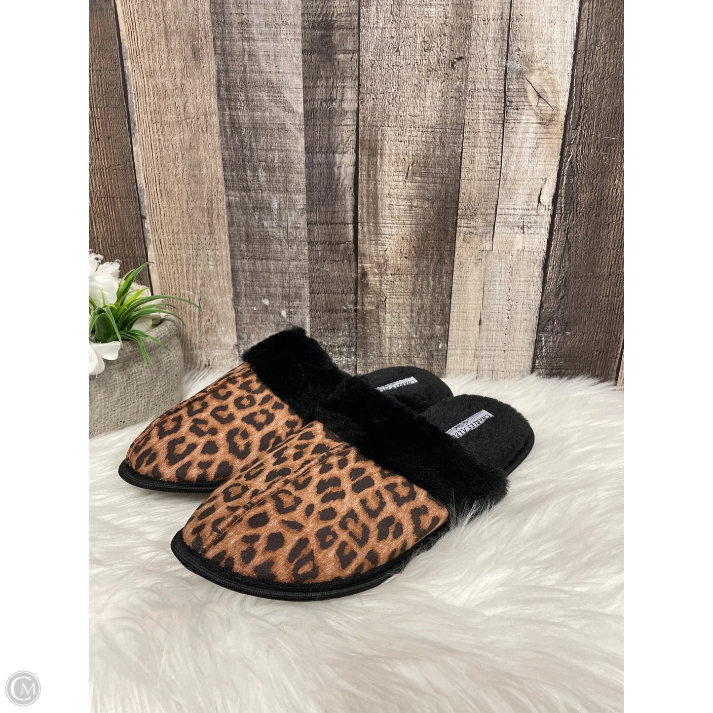 Slippers By Cme In Animal Print