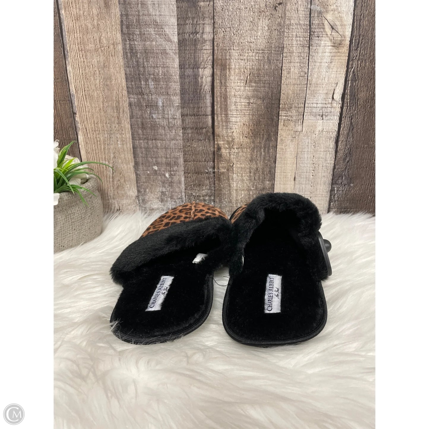 Slippers By Cme In Animal Print