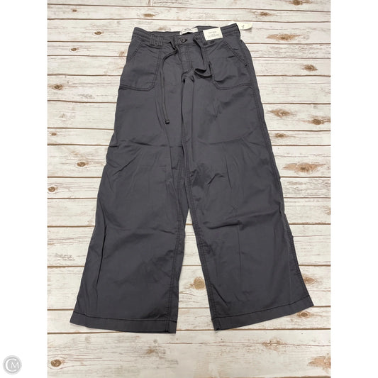 Pants Other By Hollister In Grey, Size: M