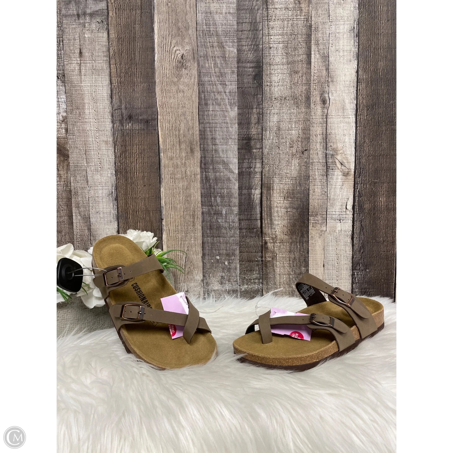 Sandals Flats By Cushionaire In Tan, Size: 8