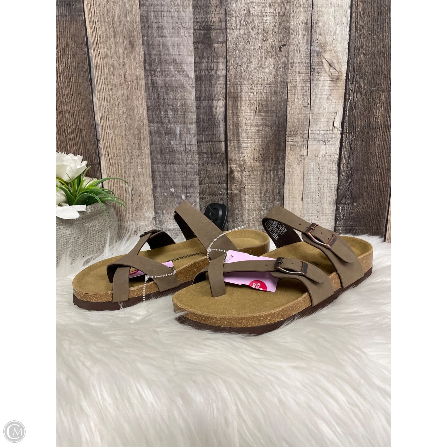 Sandals Flats By Cushionaire In Tan, Size: 8