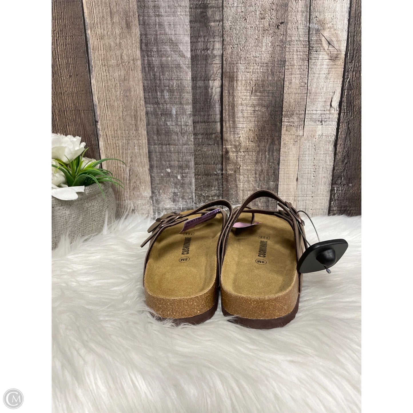 Sandals Flats By Cushionaire In Tan, Size: 8