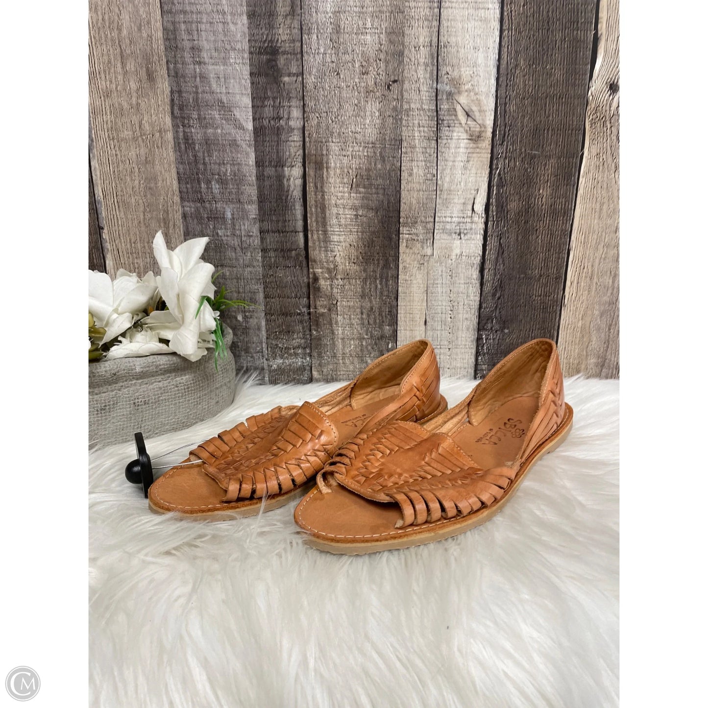 Sandals Flats By Sbicca In Tan, Size: 8