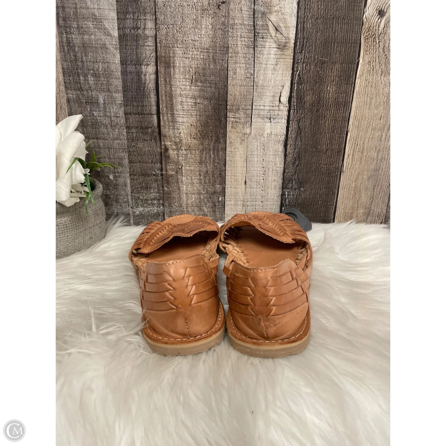 Sandals Flats By Sbicca In Tan, Size: 8