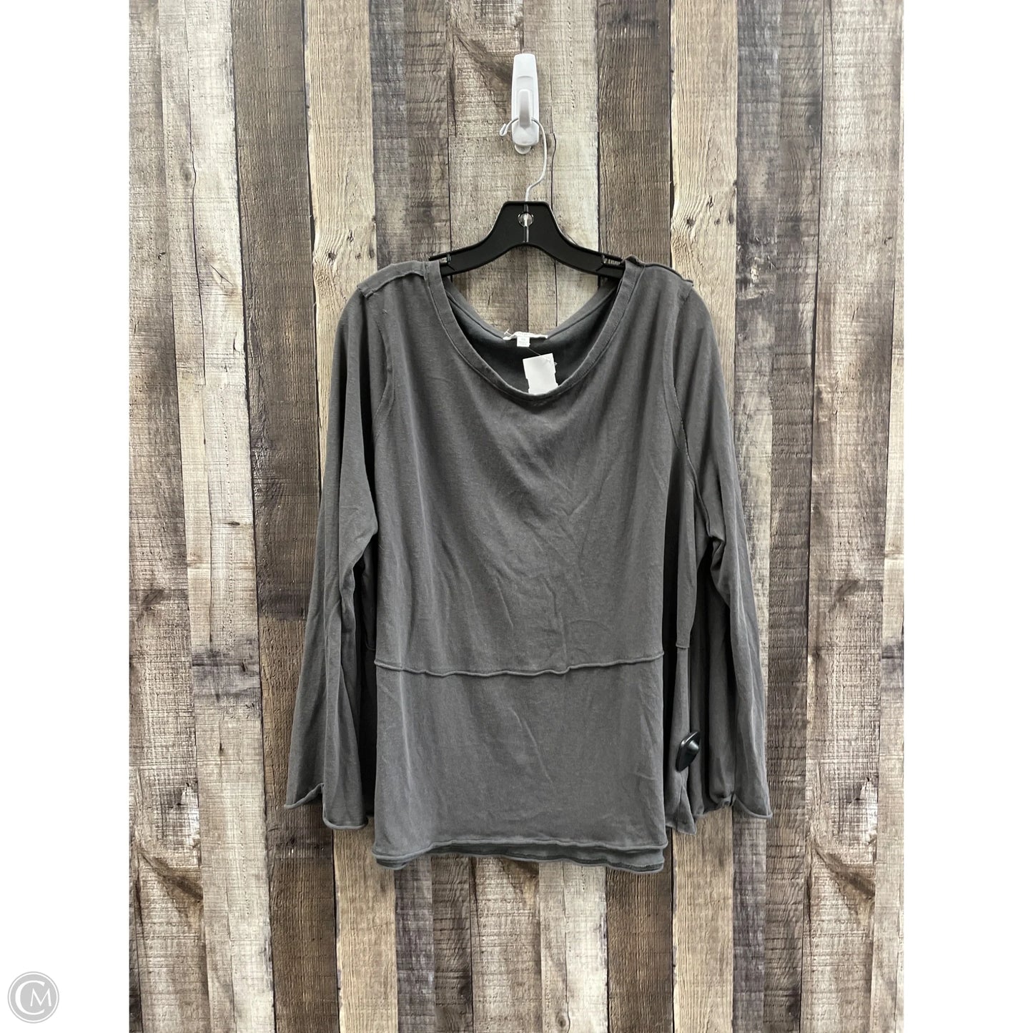 Top Long Sleeve By Umgee In Grey, Size: 1x
