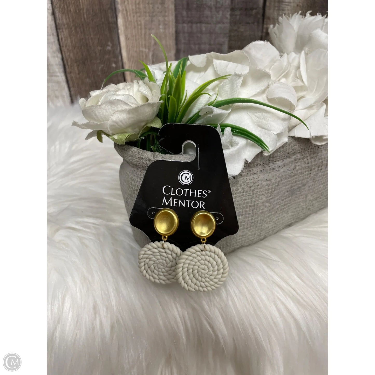Earrings Dangle/drop By Clothes Mentor
