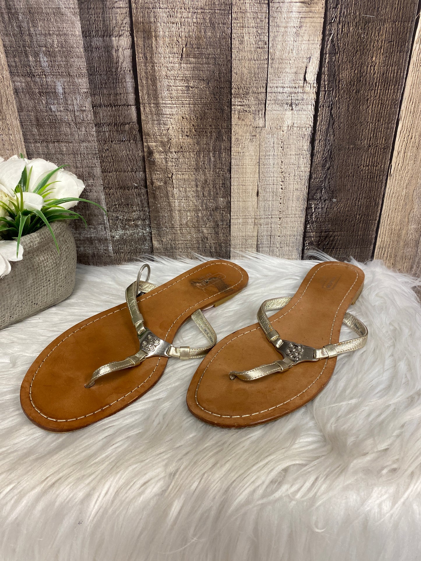 Sandals Designer By Coach O  Size: 8.5