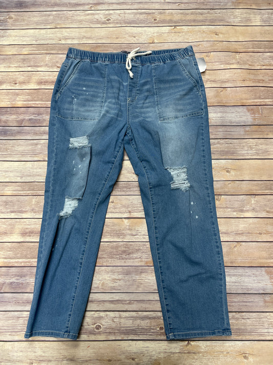 Jeans Skinny By Wallflower  Size: 1x